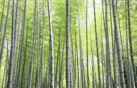 サンプルコラム